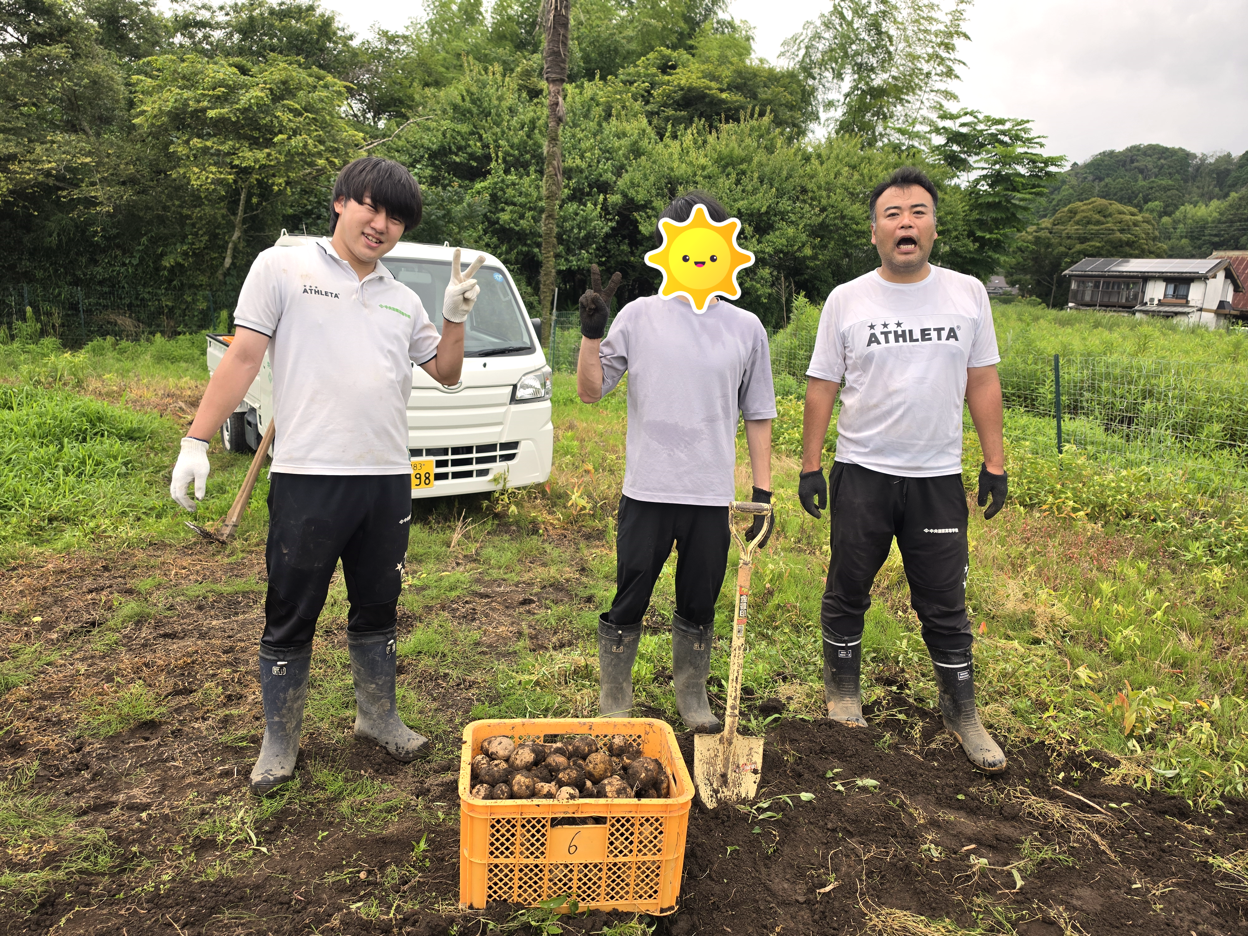 梅雨のあいまにじゃがいも収穫♪