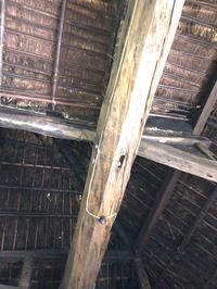 岩の井03.jpg
