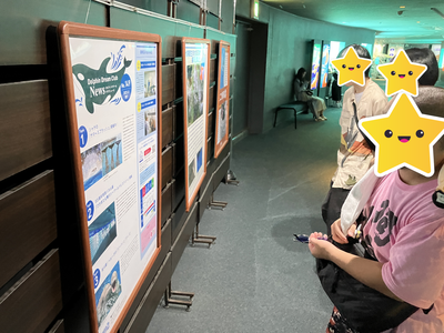 海洋生物の知識.png