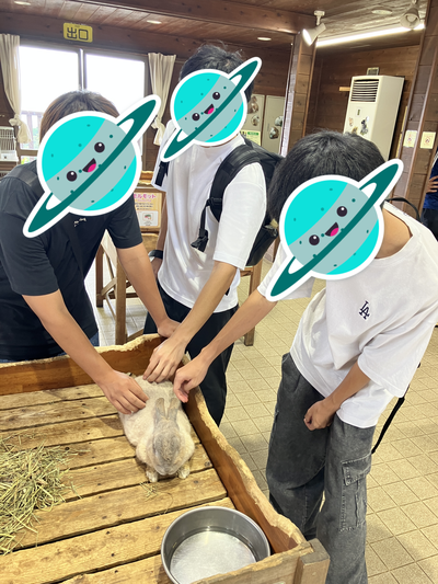 ウサギ.png