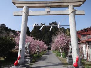 鳥居.JPG
