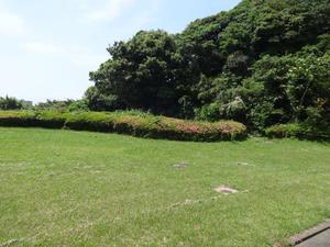 DSC08771.JPG