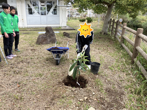 苗植え①.png