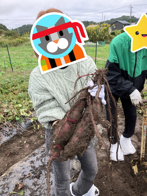 ブログ３.png